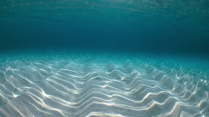 Charlestown Creative Atmosphere